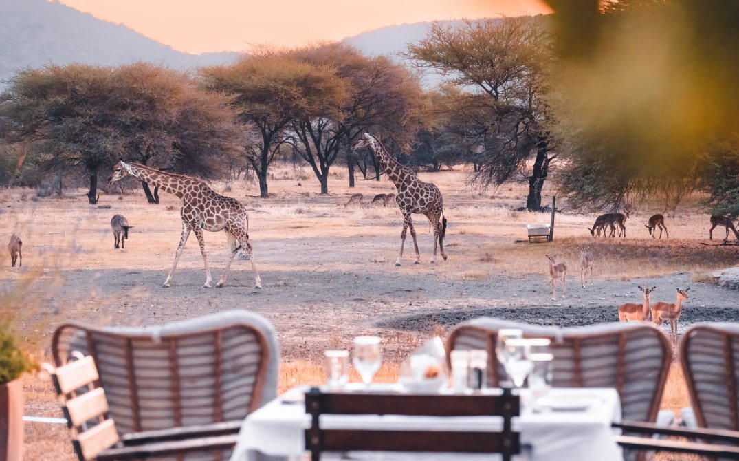 Gabus Lodge Waterhole